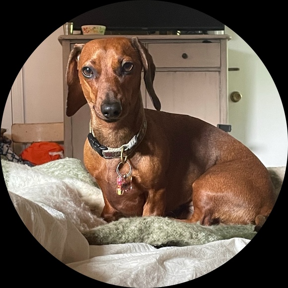 Meet your Posher, Lily - Picture 1 of 1